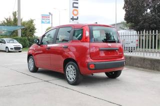 FIAT Panda usata, con Alzacristalli elettrici