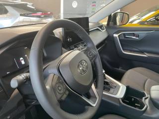 TOYOTA RAV 4 usata, con Fendinebbia