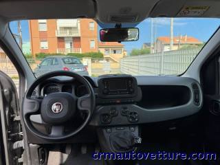 FIAT Panda usata 7