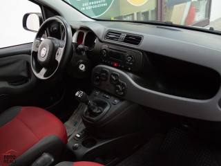 FIAT Panda usata 29