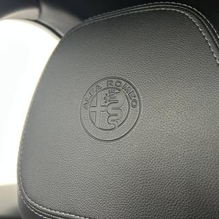 ALFA ROMEO Stelvio usata, con Controllo trazione
