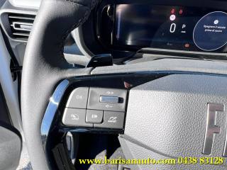 FIAT Doblo usata, con Controllo trazione