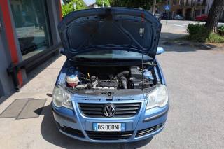 VOLKSWAGEN Polo usata 97