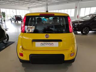 FIAT Panda usata, con Antifurto