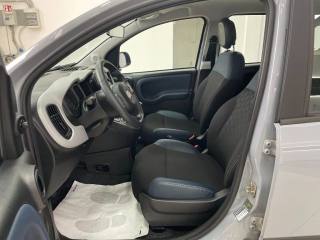 FIAT Panda Cross usata, con Controllo automatico clima