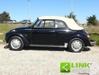 VOLKSWAGEN Maggiolone usata 7