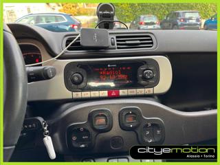 FIAT Panda Cross usata, con Fendinebbia