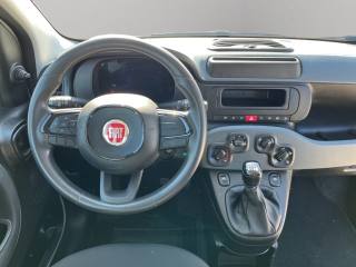 FIAT Panda usata, con ESP