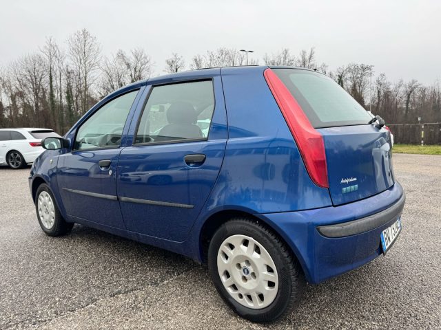 FIAT Punto usata, con Servosterzo