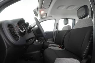 FIAT Panda usata 2