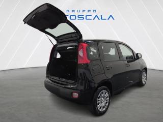 FIAT Pandina usata 22