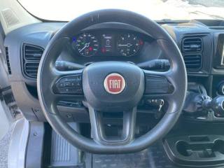 FIAT Ducato usata, con Immobilizzatore elettronico