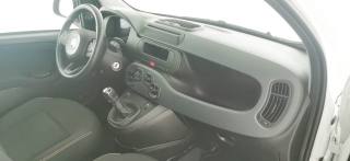 FIAT Panda usata 51
