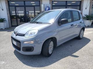 FIAT Panda usata, con Airbag Passeggero