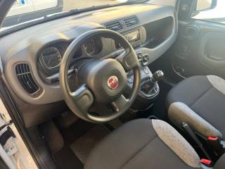FIAT Panda usata 13