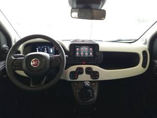 FIAT Panda Cross usata 22