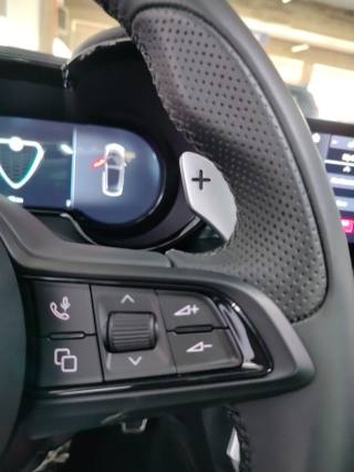 ALFA ROMEO Tonale usata 43