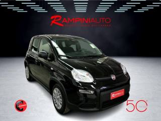 FIAT Panda usata 3