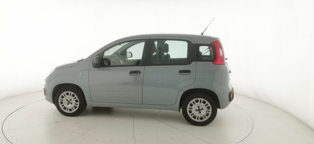 FIAT Panda usata 23