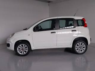 FIAT Panda usata, con Alzacristalli elettrici