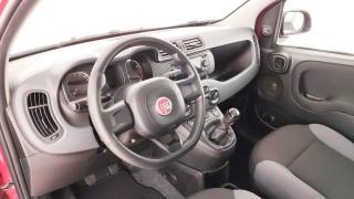 FIAT Panda usata 48