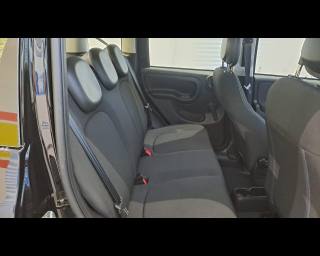 FIAT New Panda usata 21