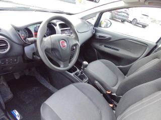 FIAT Punto usata 26