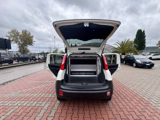 FIAT New Panda usata, con Immobilizzatore elettronico