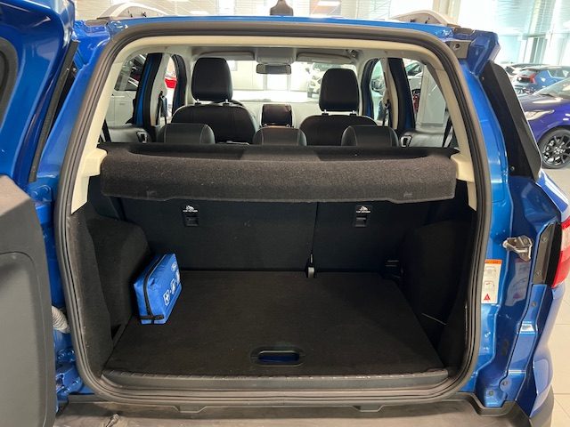 FORD EcoSport usata, con USB