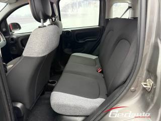 FIAT Panda usata, con Cruise Control