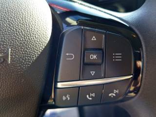 FORD Fiesta usata, con Cronologia tagliandi