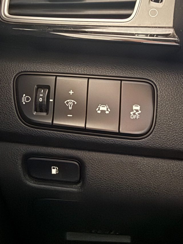 KIA Niro usata 23