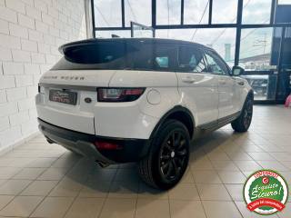 LAND ROVER Range Rover Evoque usata, con Airbag laterali