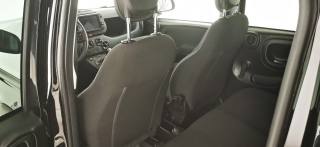 FIAT Panda Cross usata 55