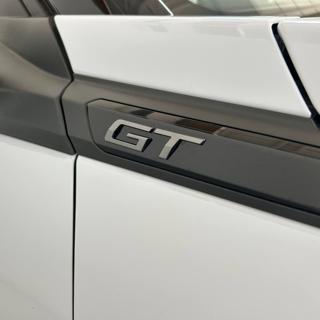 PEUGEOT 2008 usata, con Specchietti laterali elettrici