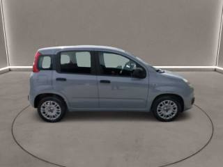 FIAT Panda usata, con Airbag Passeggero