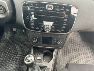 FIAT Punto usata, con Airbag testa
