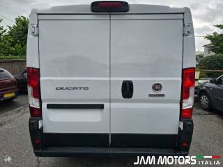 FIAT  usata 5