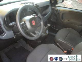 FIAT Panda usata, con Immobilizzatore elettronico