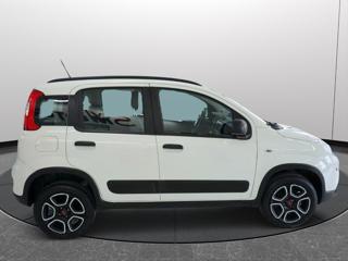 FIAT Panda usata 21