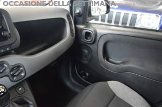 FIAT Panda usata 13
