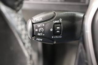 PEUGEOT 5008 usata 33