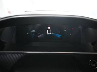 PEUGEOT 3008 usata, con Volante multifunzione