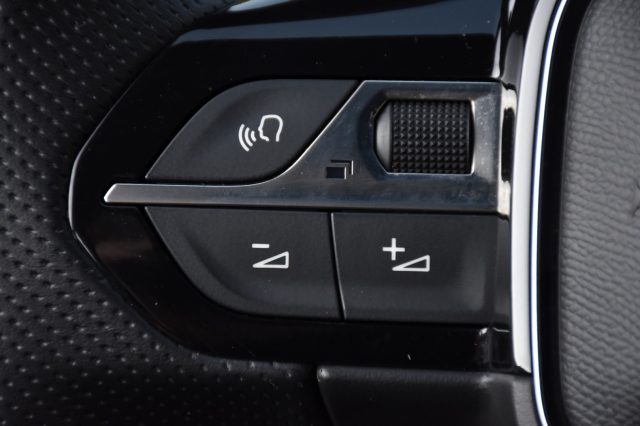 PEUGEOT 3008 usata, con Portellone posteriore elettrico