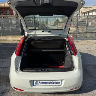 FIAT Punto usata 14