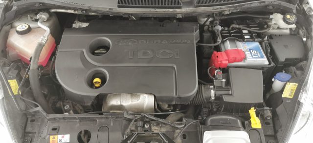 FORD Fiesta usata 43