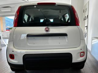FIAT Panda usata, con Controllo trazione
