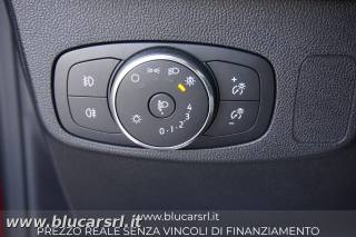FORD Focus usata 19