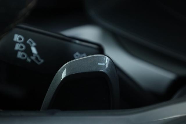 SEAT Leon usata, con Bracciolo