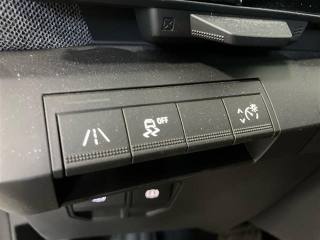 RENAULT Megane usata 25